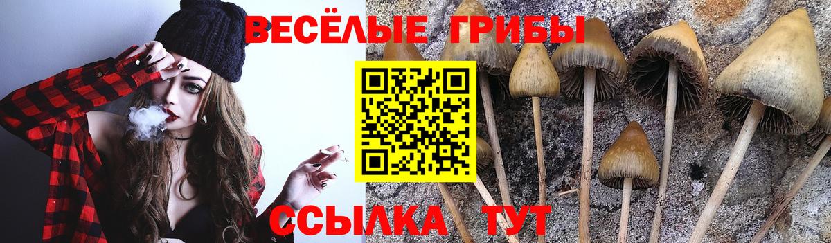 Галлюциногенные грибы ЛСД Тамбов