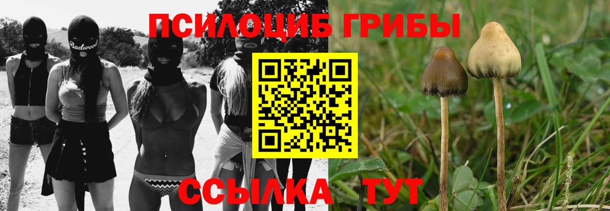 Псилоцибиновые грибы Magic Shrooms  Псилоцибиновые грибы Magic Shrooms  Тамбов  Вход с VPN 
